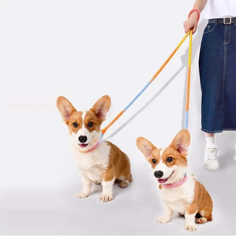 Versatile Double-Ended Dog Leash