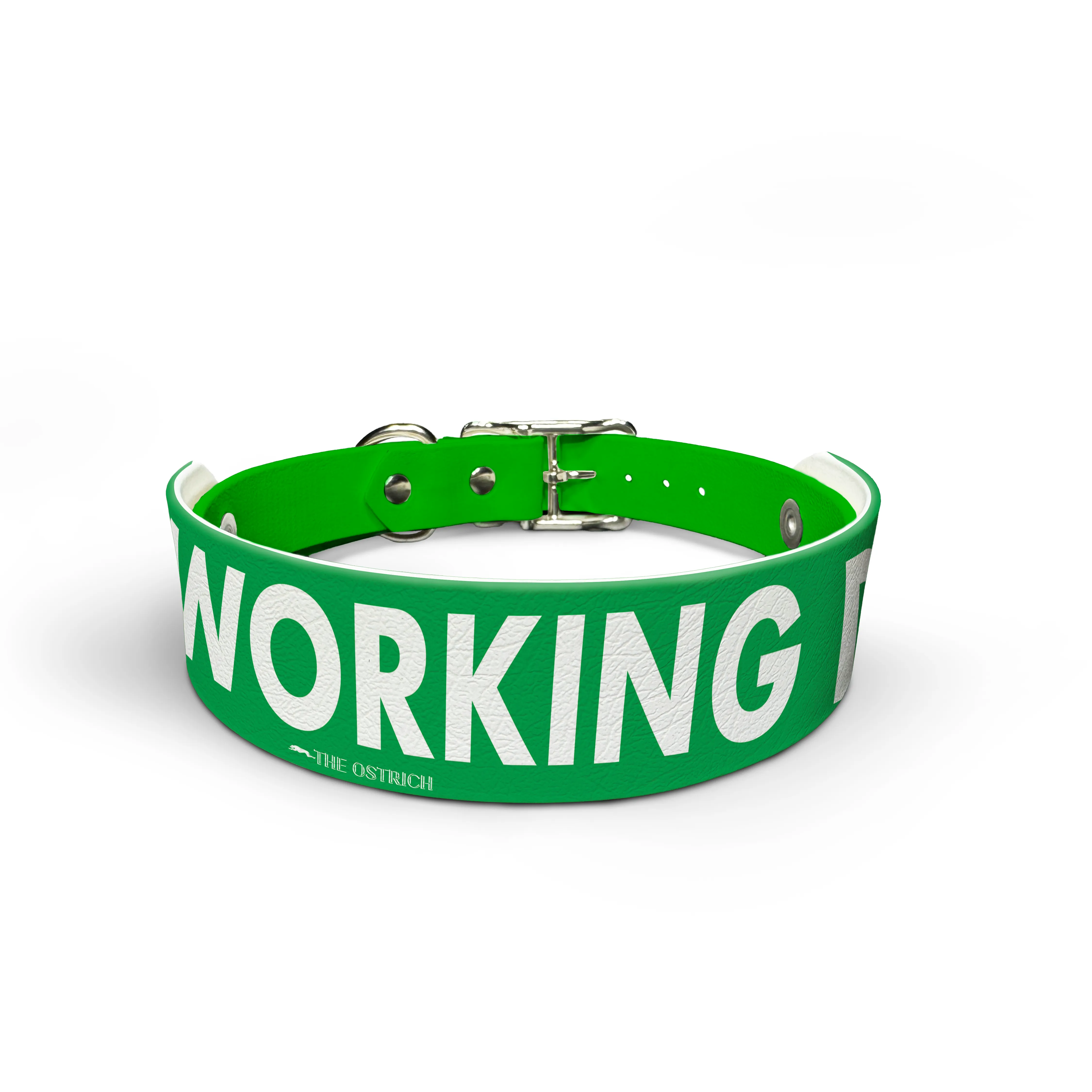 Working Dog (WOG) - Snappy Collar & Top Set